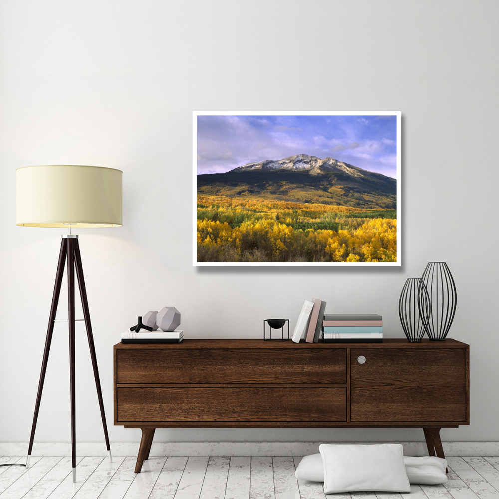 East Beckwith Mountain and trees in fall color, Gunnison National Forest, Colorado-Paper Art-50&quotx38"