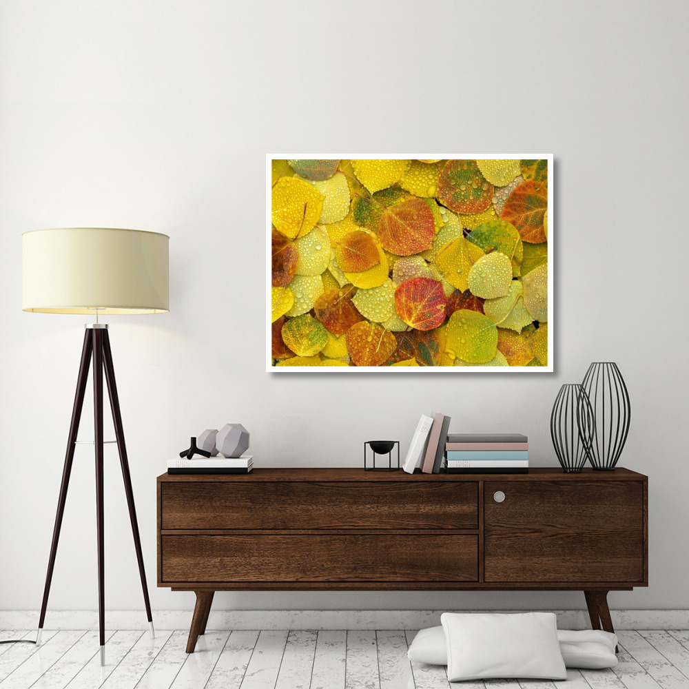 Fallen autumn colored Aspen leaves on the ground covered in dew droplets, Colorado-Paper Art-50&quotx38"