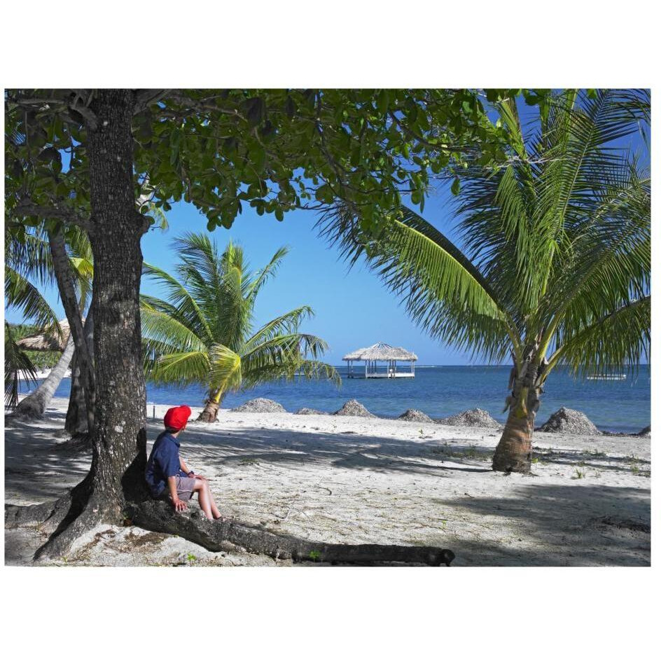 Tourist resting under palm trees on beach at Palmetto Bay, Roatan Island, Honduras-Paper Art-26&quotx20"
