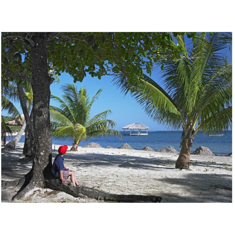 Tourist resting under palm trees on beach at Palmetto Bay, Roatan Island, Honduras-Paper Art-50&quotx38"