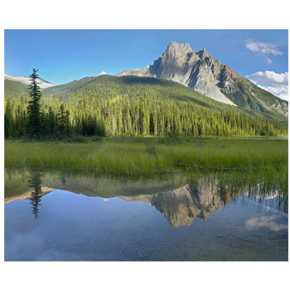Mt Burgess reflected in Emerald Lake, Yoho National Park, British Columbia, Canada-Paper Art-22&quotx18"