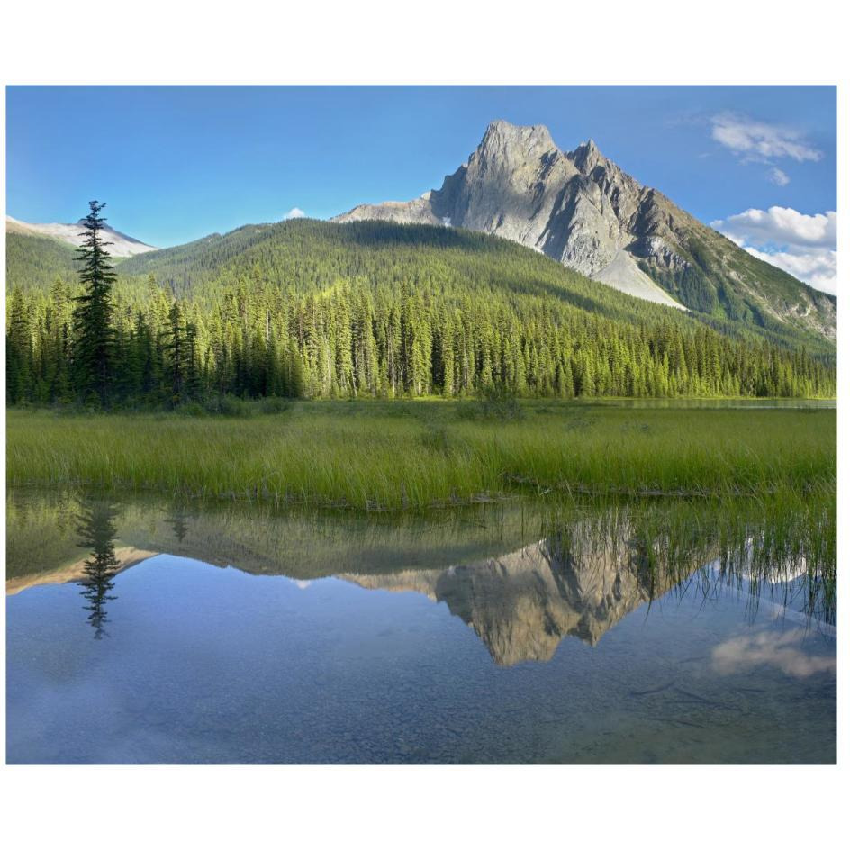 Mt Burgess reflected in Emerald Lake, Yoho National Park, British Columbia, Canada-Paper Art-26&quotx22"