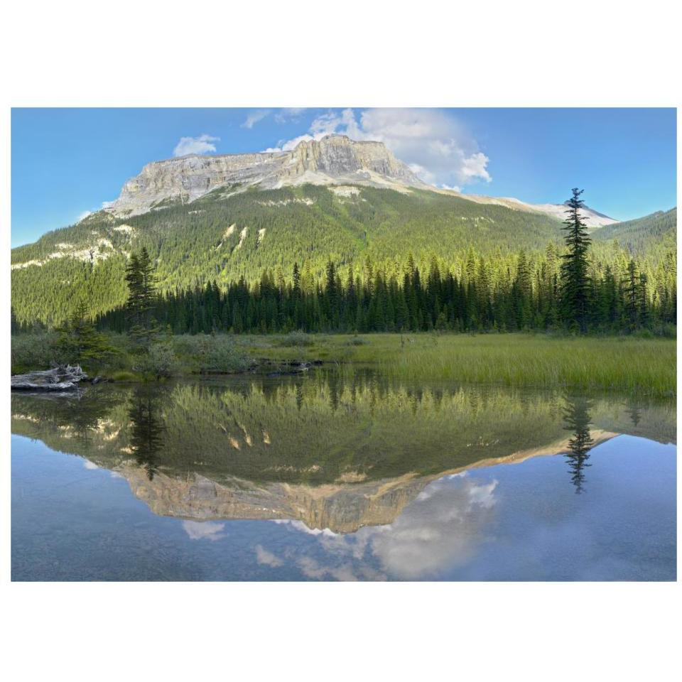 Mt Burgess reflected in Emerald Lake, Yoho National Park, British Columbia, Canada-Paper Art-32&quotx23.3"