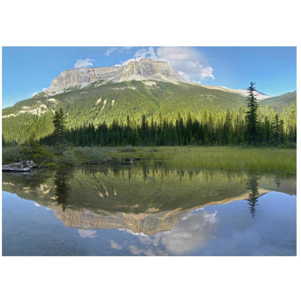 Mt Burgess reflected in Emerald Lake, Yoho National Park, British Columbia, Canada-Paper Art-46&quotx33.24"