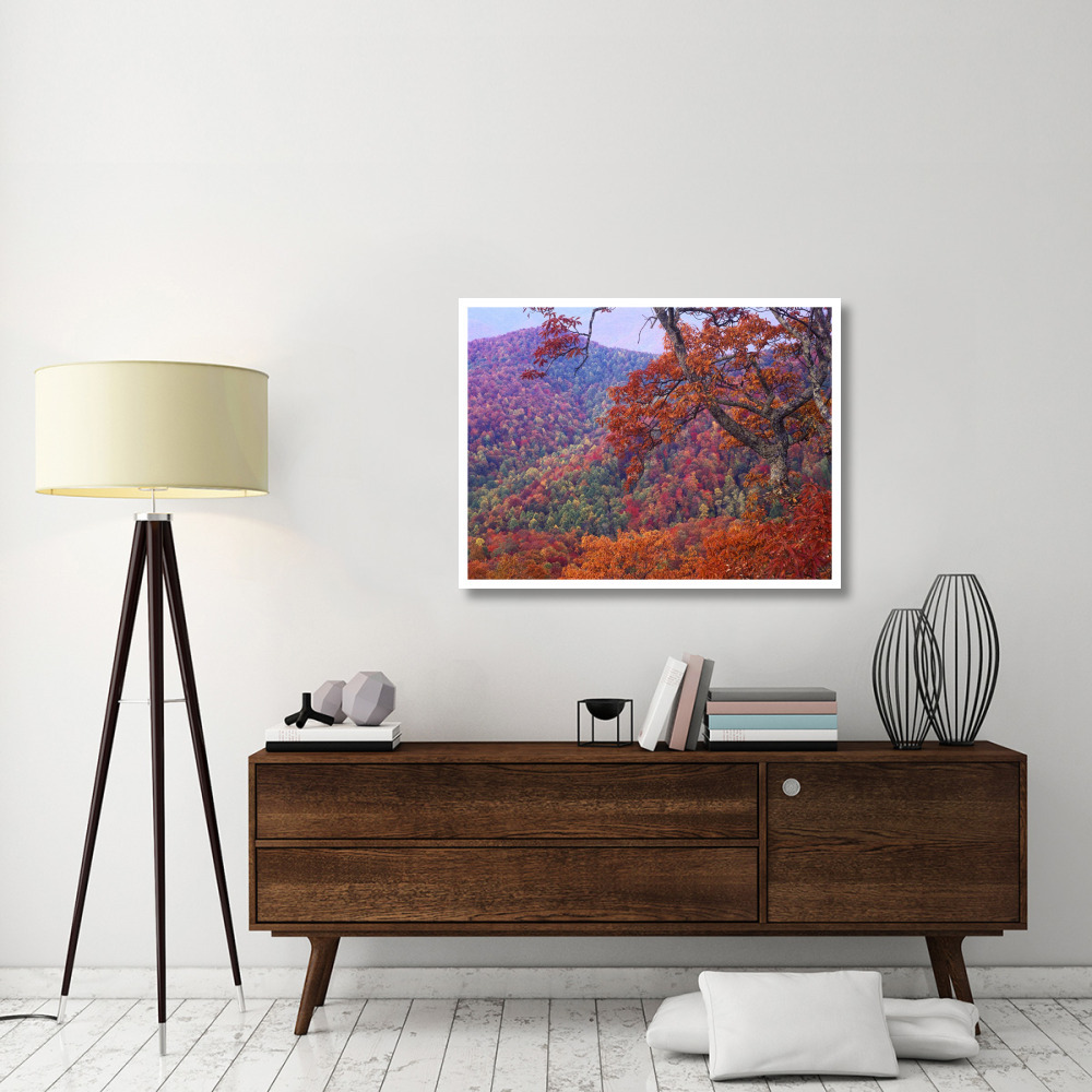 Blue Ridge Range with autumn deciduous forest, near Buck Creek Gap, North Carolina-Paper Art-42&quotx32"