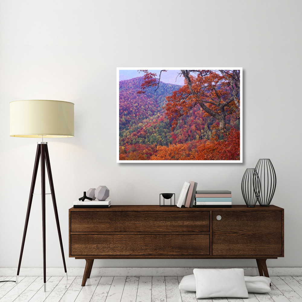 Blue Ridge Range with autumn deciduous forest, near Buck Creek Gap, North Carolina-Paper Art-50&quotx38"