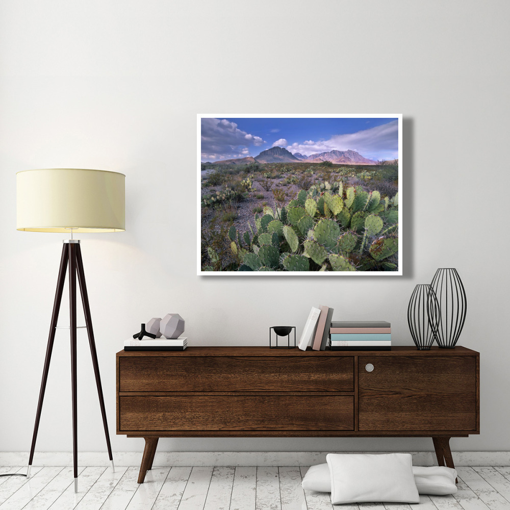 Opuntia cactus, Chisos Mountains, Big Bend National Park, Chihuahuan Desert, Texas-Paper Art-50&quotx38"