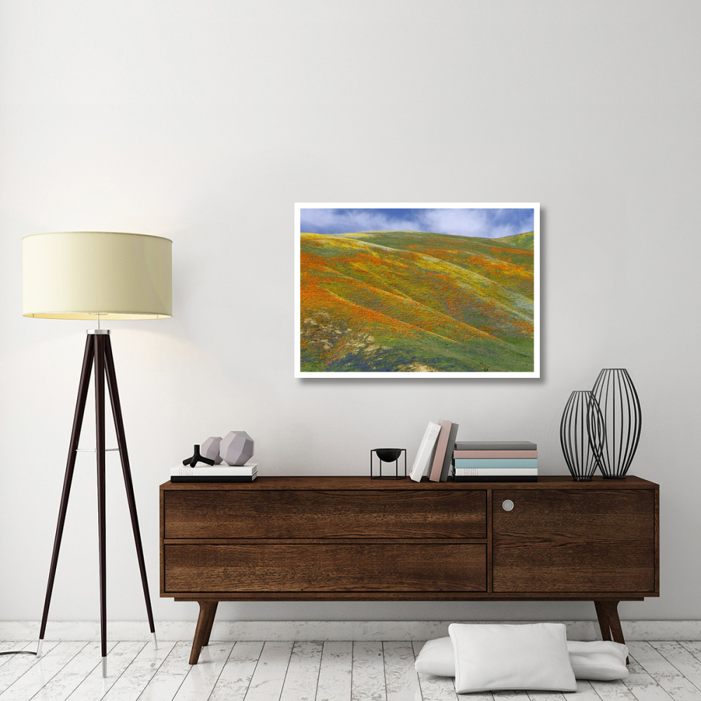 California Poppy covered hillside, spring, Tehachapi Hills near Gorman, California-Paper Art-42&quotx30"