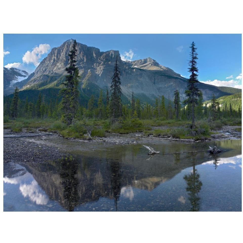 Michael Peak reflection, Emerald Lake, Yoho National Park, British Columbia, Canada-Paper Art-18&quotx14"