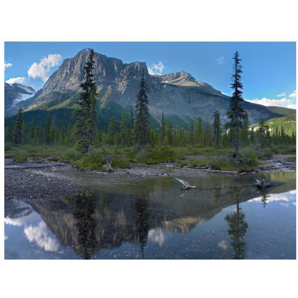 Michael Peak reflection, Emerald Lake, Yoho National Park, British Columbia, Canada-Paper Art-34&quotx26"