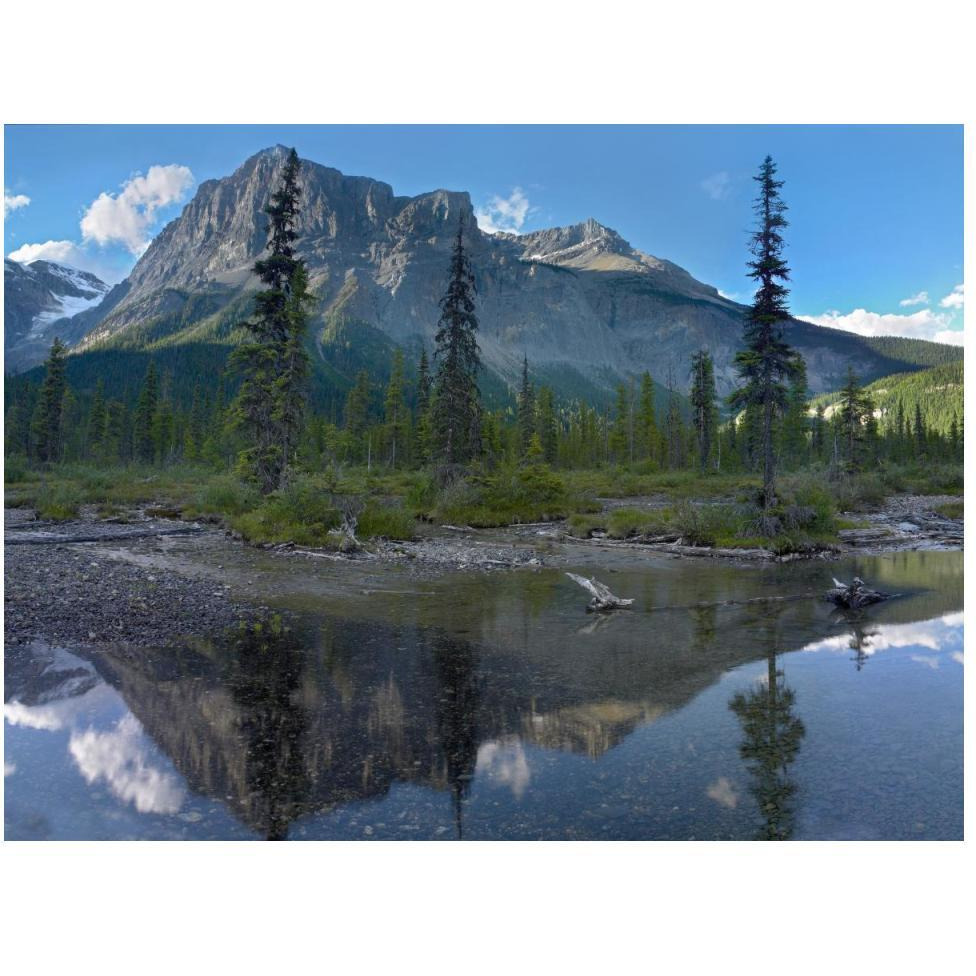 Michael Peak reflection, Emerald Lake, Yoho National Park, British Columbia, Canada-Paper Art-50&quotx38"
