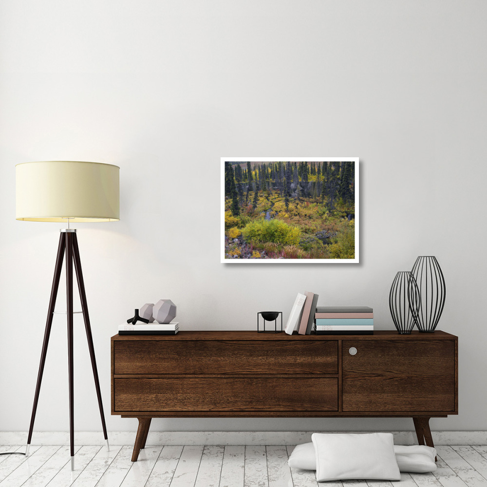 Beaver pond amid boreal forest, Tombstone Territorial Park, Yukon Territory, Canada-Paper Art-34&quotx26"