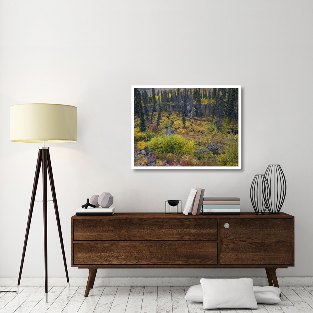 Beaver pond amid boreal forest, Tombstone Territorial Park, Yukon Territory, Canada-Paper Art-42&quotx32"
