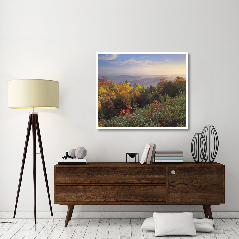 Deciduous forest in autumn, Blue Ridge Mountains from Doughton Park, North Carolina-Paper Art-46&quotx38.52"