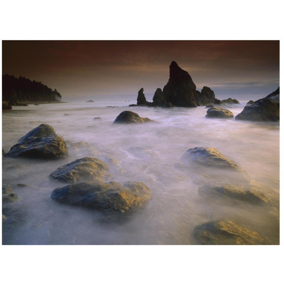 Sea stack and rocks along shoreline at Ruby Beach, Olympic National Park, Washington-Paper Art-26&quotx20"