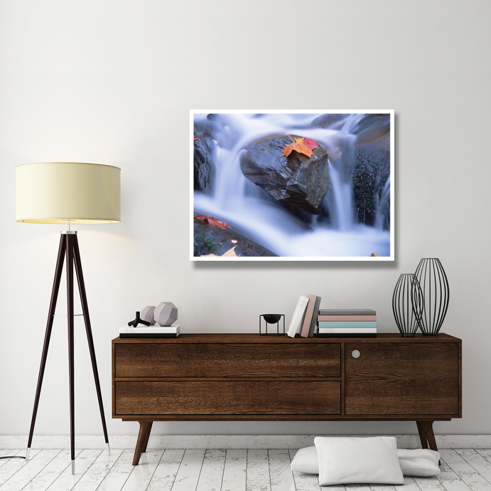 Autumn leaf on boulder, Little River, Great Smoky Mountains National Park, Tennessee-Paper Art-50&quotx38"