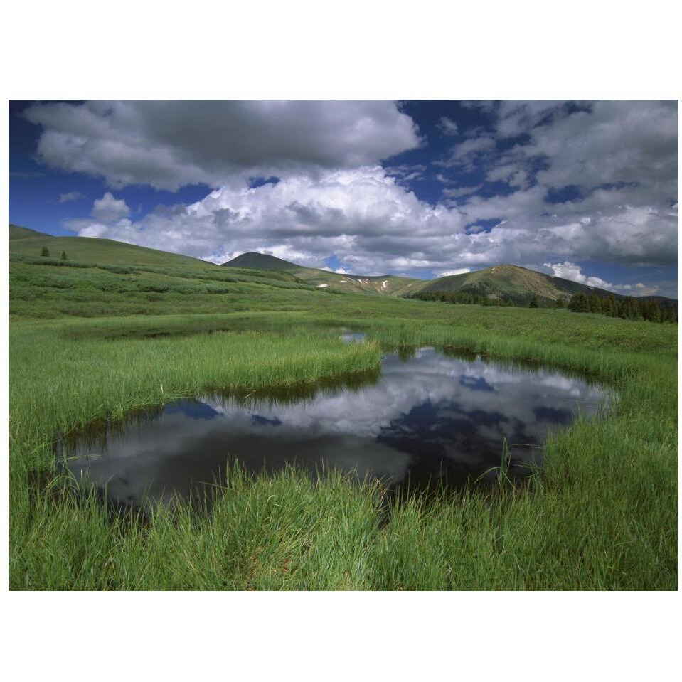 Cumulus clouds reflected in pond at Guanella Pass, Arapaho National Forest, Colorado-Paper Art-18&quotx14"