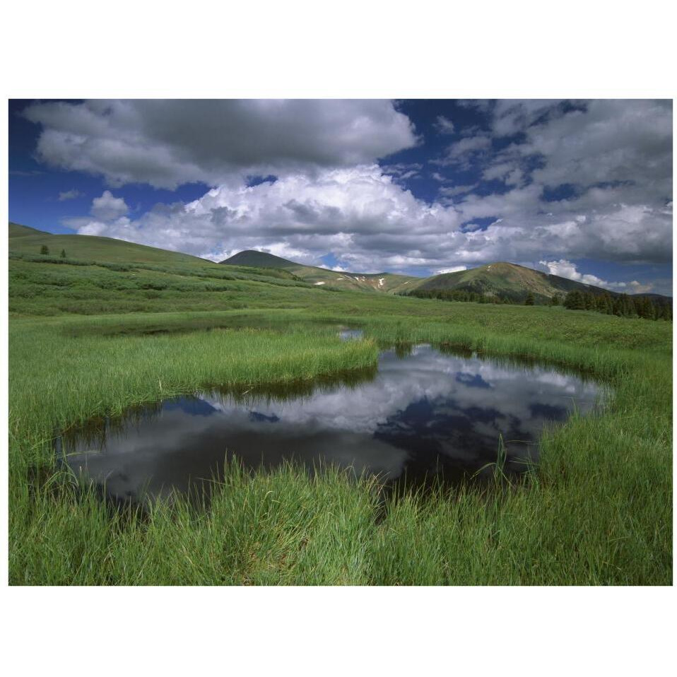 Cumulus clouds reflected in pond at Guanella Pass, Arapaho National Forest, Colorado-Paper Art-34&quotx26"