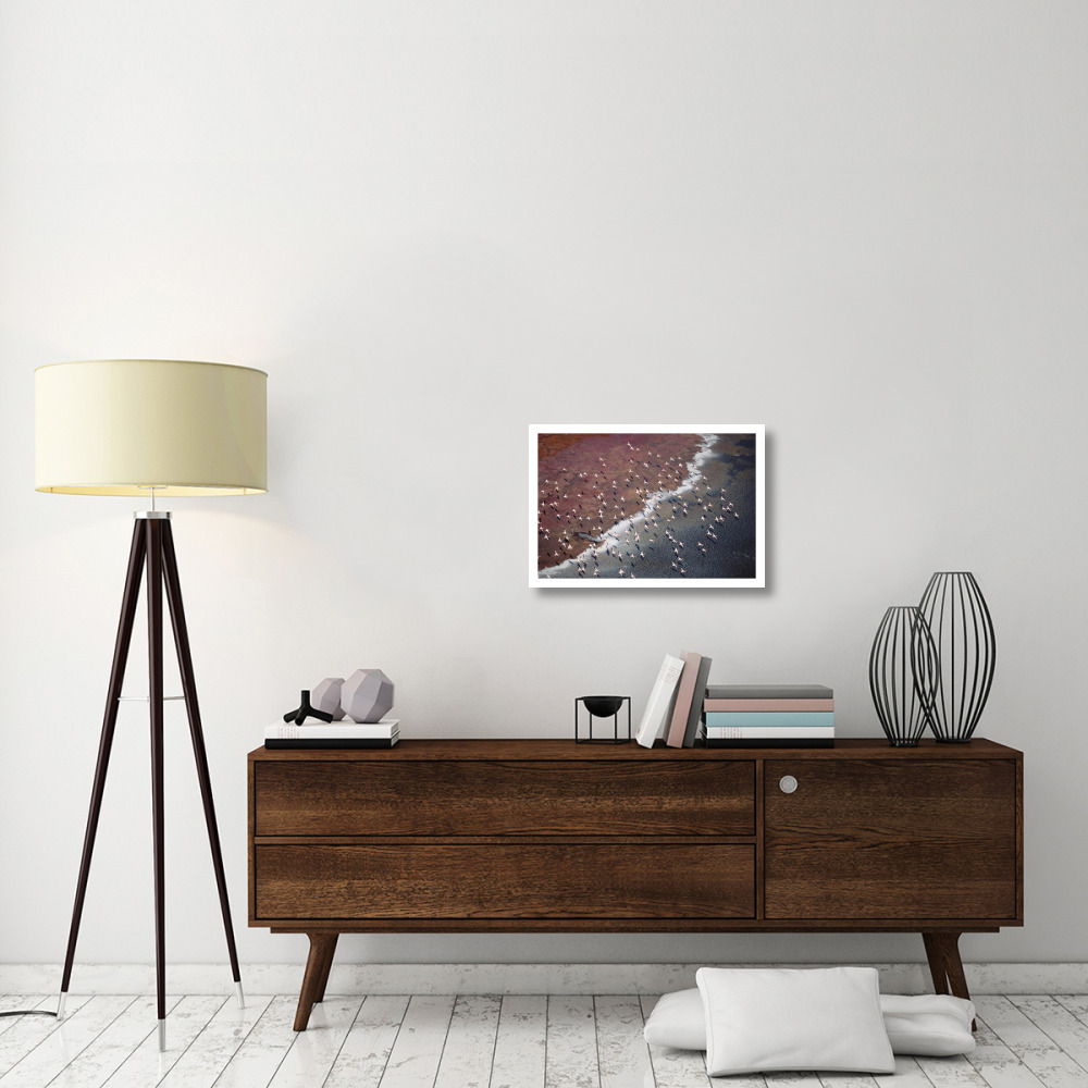 Lesser Flamingo group flock flying over soda flats at the edge of Lake Magadi, Kenya-Paper Art-26&quotx18"