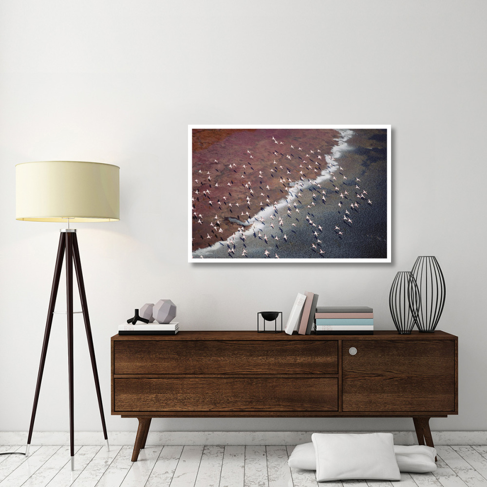 Lesser Flamingo group flock flying over soda flats at the edge of Lake Magadi, Kenya-Paper Art-50&quotx34"