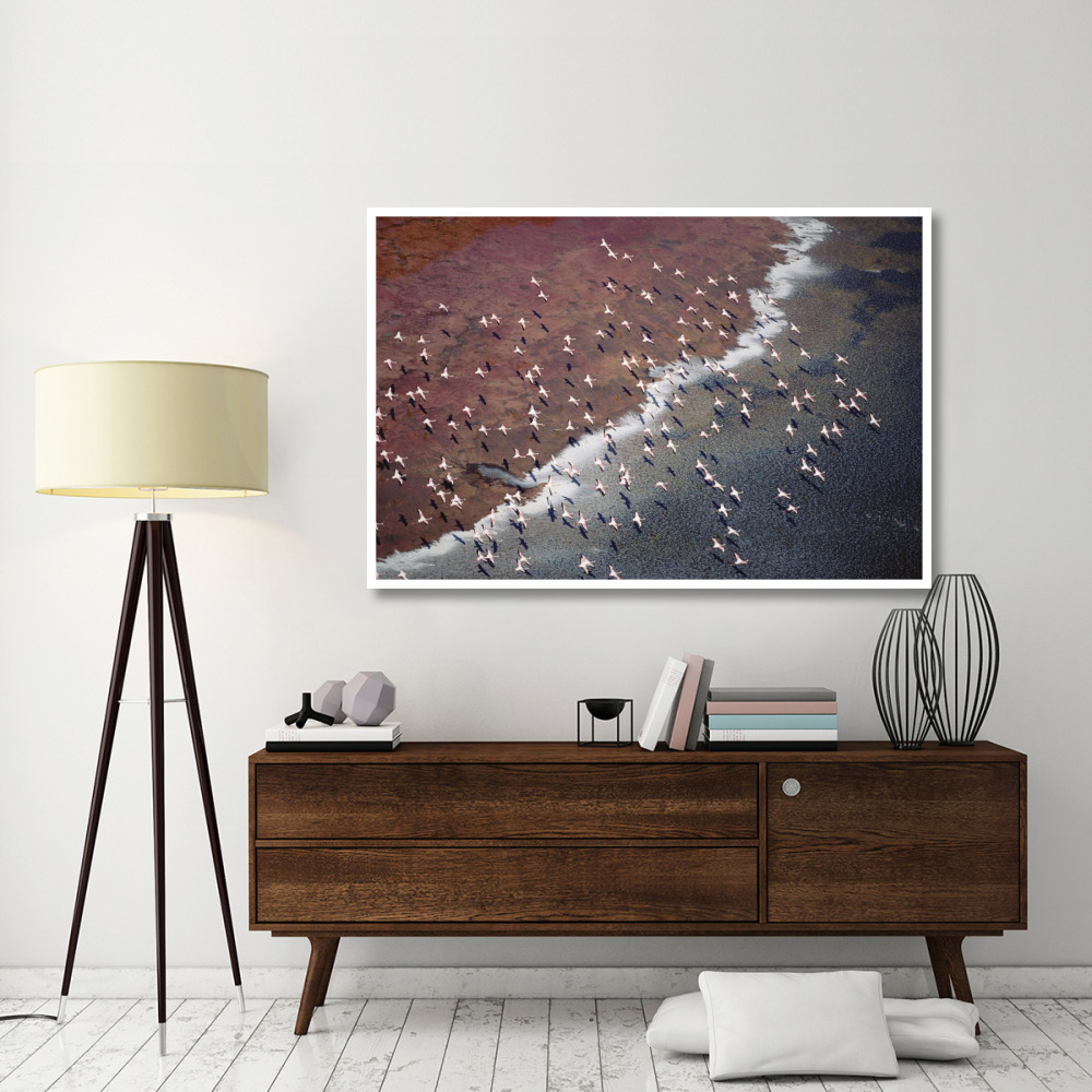 Lesser Flamingo group flock flying over soda flats at the edge of Lake Magadi, Kenya-Paper Art-62&quotx42"
