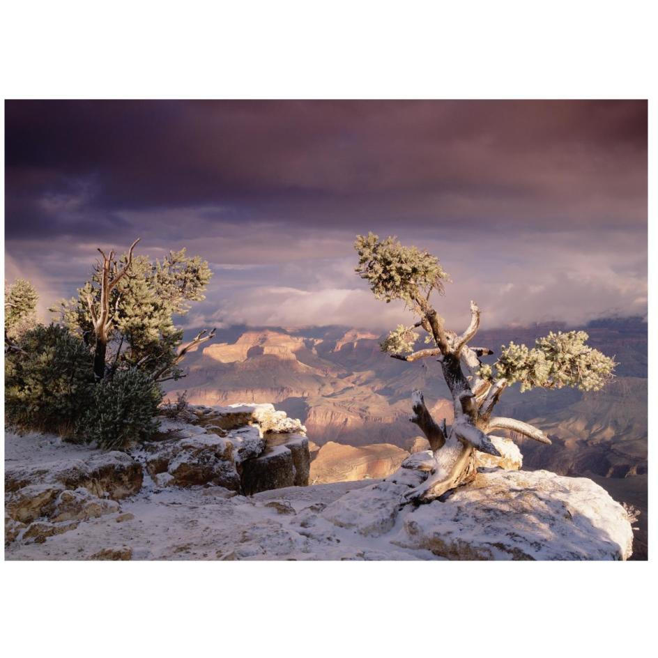 South Rim of Grand Canyon with a dusting of snow, Grand Canyon National Park, Arizona-Paper Art-26&quotx20"