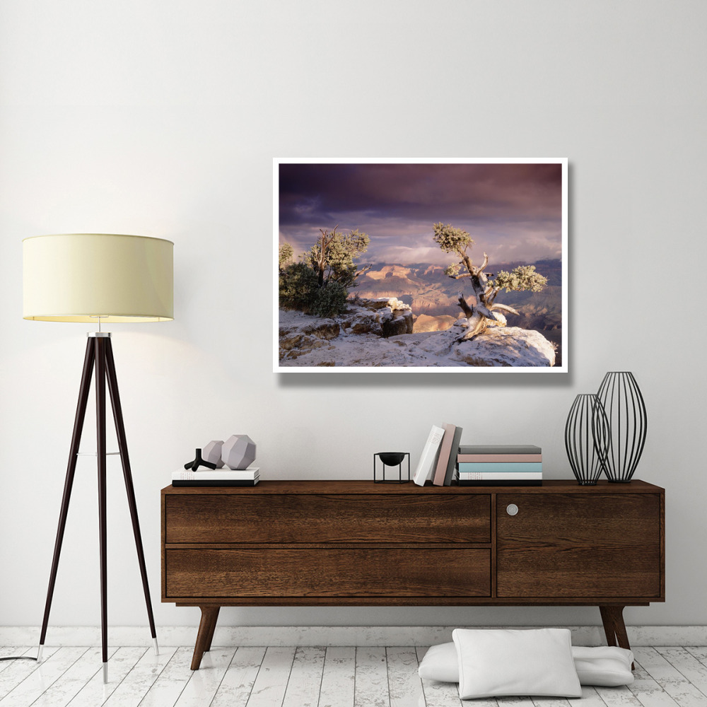 South Rim of Grand Canyon with a dusting of snow, Grand Canyon National Park, Arizona-Paper Art-50&quotx38"