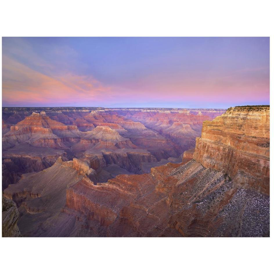 Grand Canyon as seen from Mohave Point at sunset, Grand Canyon National Park, Arizona-Paper Art-26&quotx20"