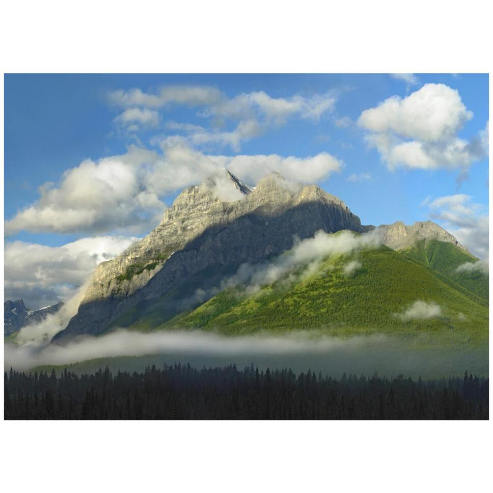 Mt Kidd with slopes covered in coniferous forest, Kananaskis Country, Alberta, Canada-Paper Art-42&quotx32"