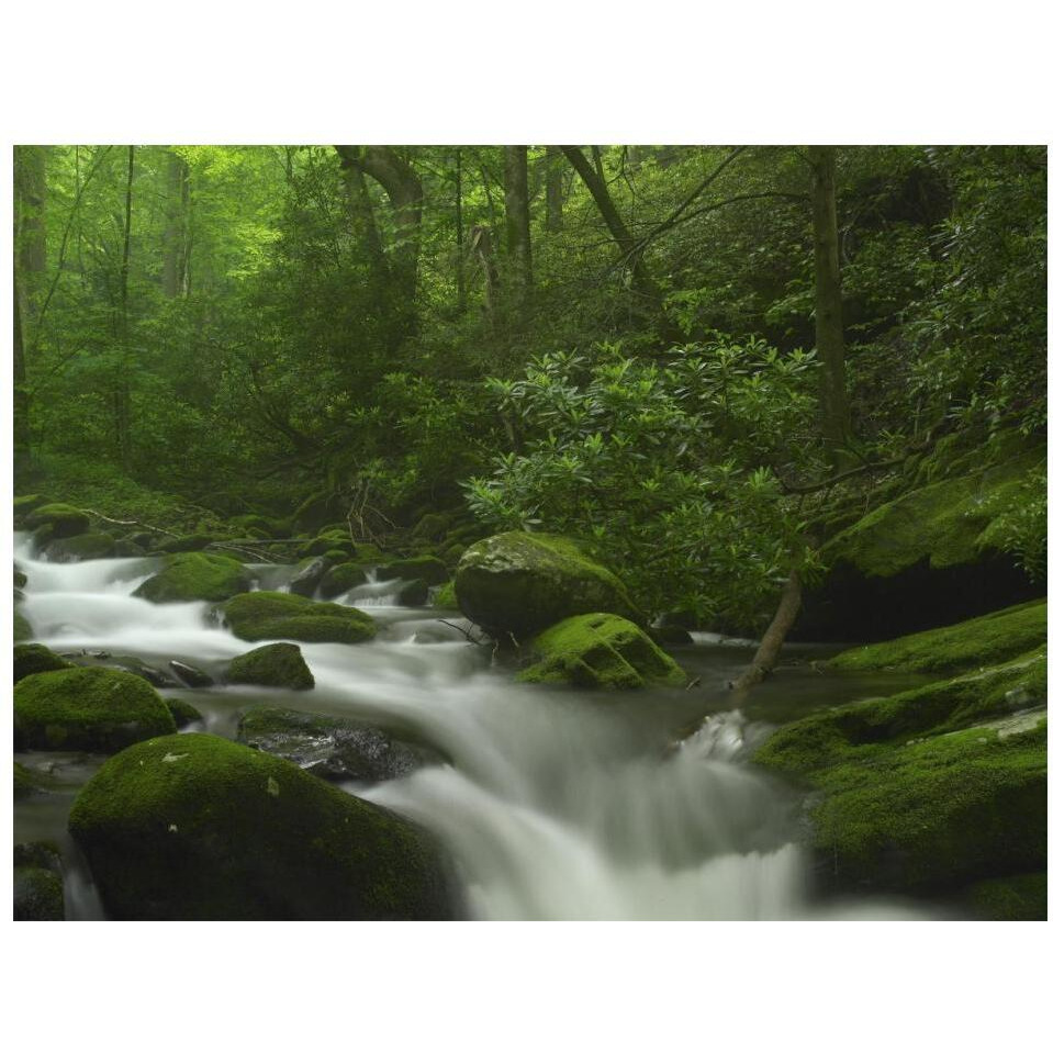 Roaring Fork River flowing through the Great Smoky Mountains National Park, Tennessee-Paper Art-18&quotx14"