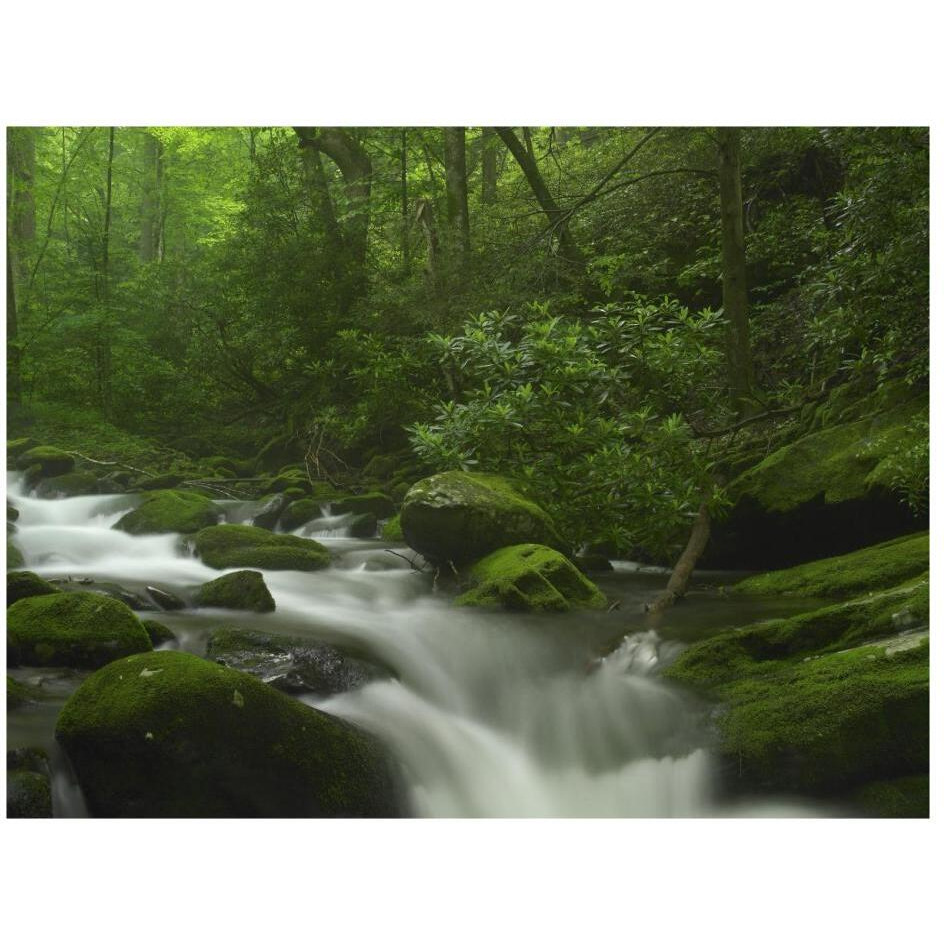 Roaring Fork River flowing through the Great Smoky Mountains National Park, Tennessee-Paper Art-26&quotx20"