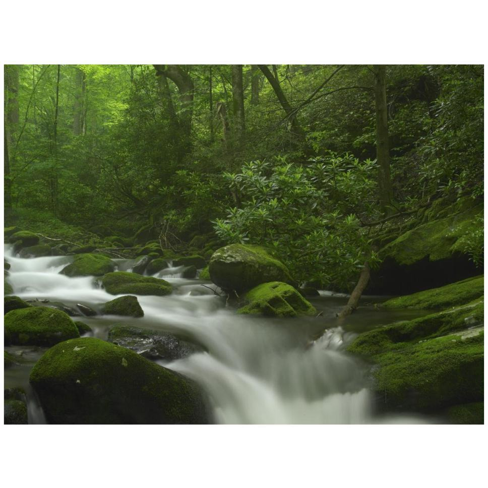 Roaring Fork River flowing through the Great Smoky Mountains National Park, Tennessee-Paper Art-42&quotx32"