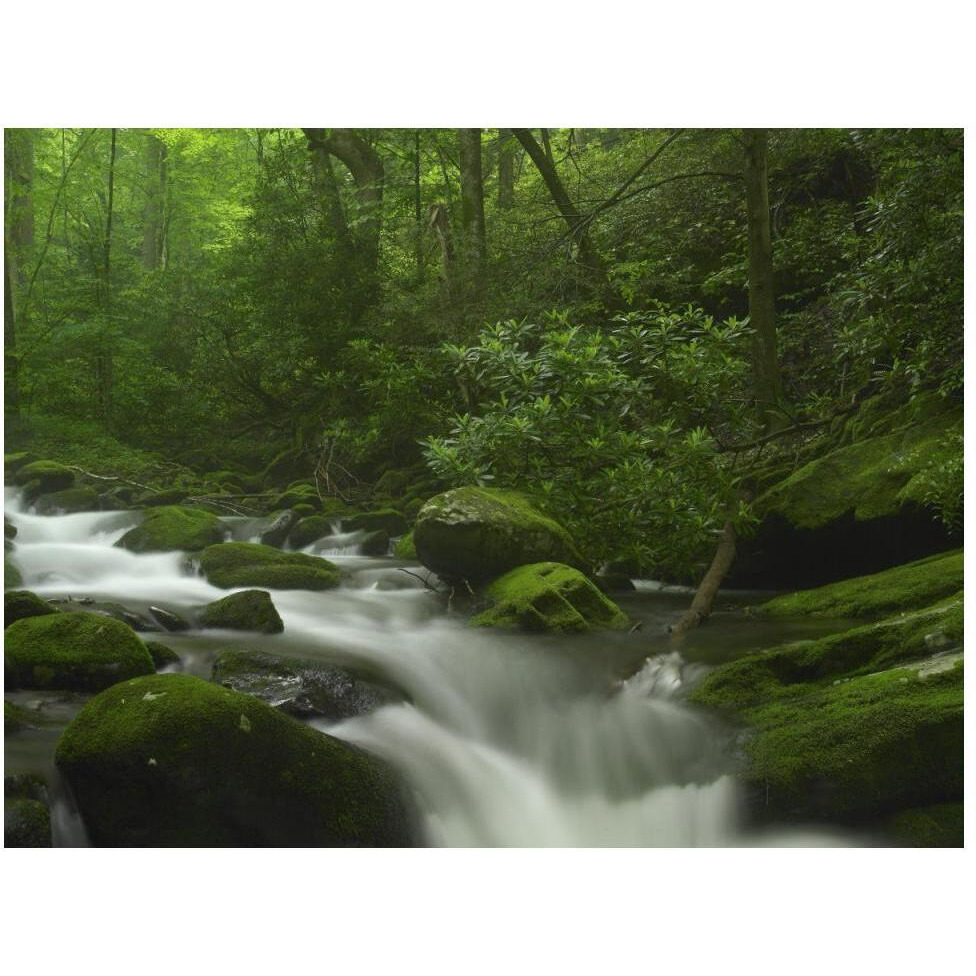Roaring Fork River flowing through the Great Smoky Mountains National Park, Tennessee-Paper Art-50&quotx38"