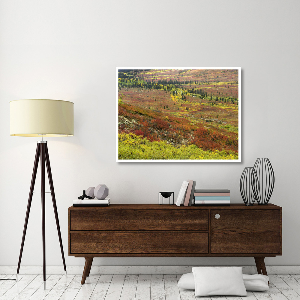 Autumn tundra with boreal forest, Tombstone Territorial Park, Yukon Territory, Canada-Paper Art-50&quotx38"