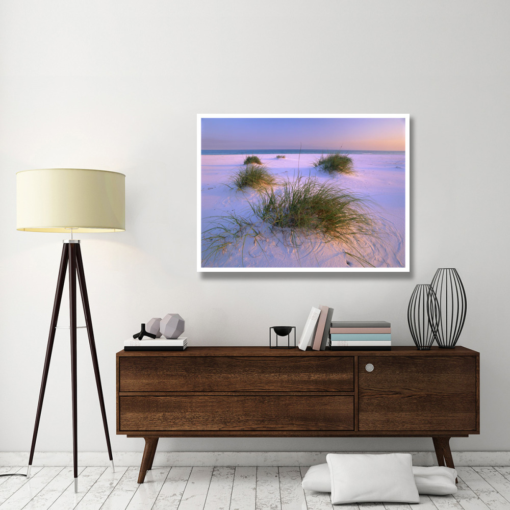 Sea Oats growing on beach, Santa Rosa Island, Gulf Islands National Seashore, Florida-Paper Art-50&quotx38"