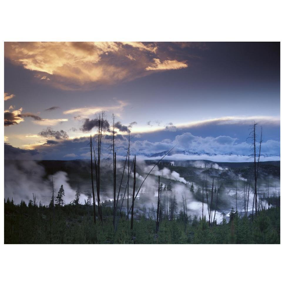 Norris Geyser basin with steam plumes from geysers, Yellowstone National Park, Wyoming-Paper Art-34&quotx26"
