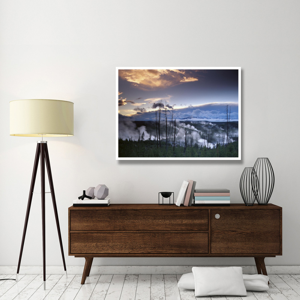 Norris Geyser basin with steam plumes from geysers, Yellowstone National Park, Wyoming-Paper Art-50&quotx38"