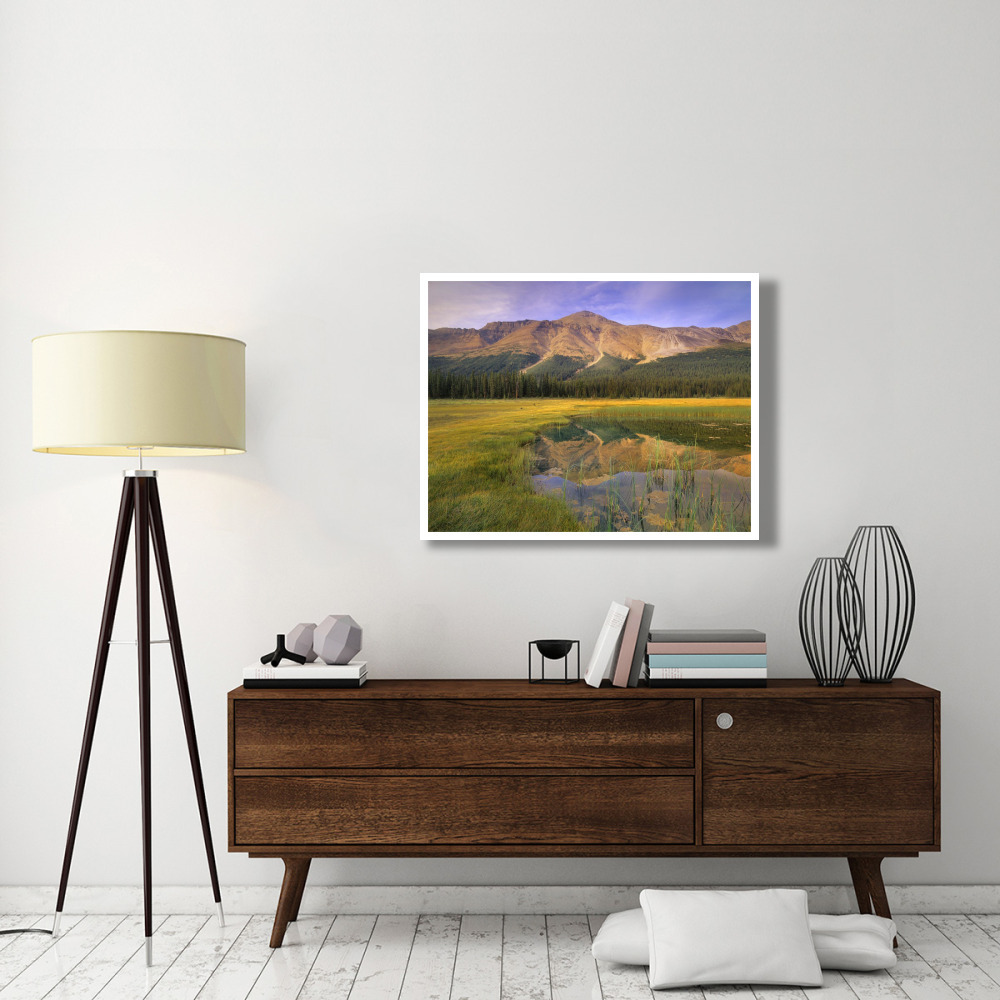 Observation Peak and coniferous forest reflected in pond, Banff National Park, Alberta-Paper Art-42&quotx32"