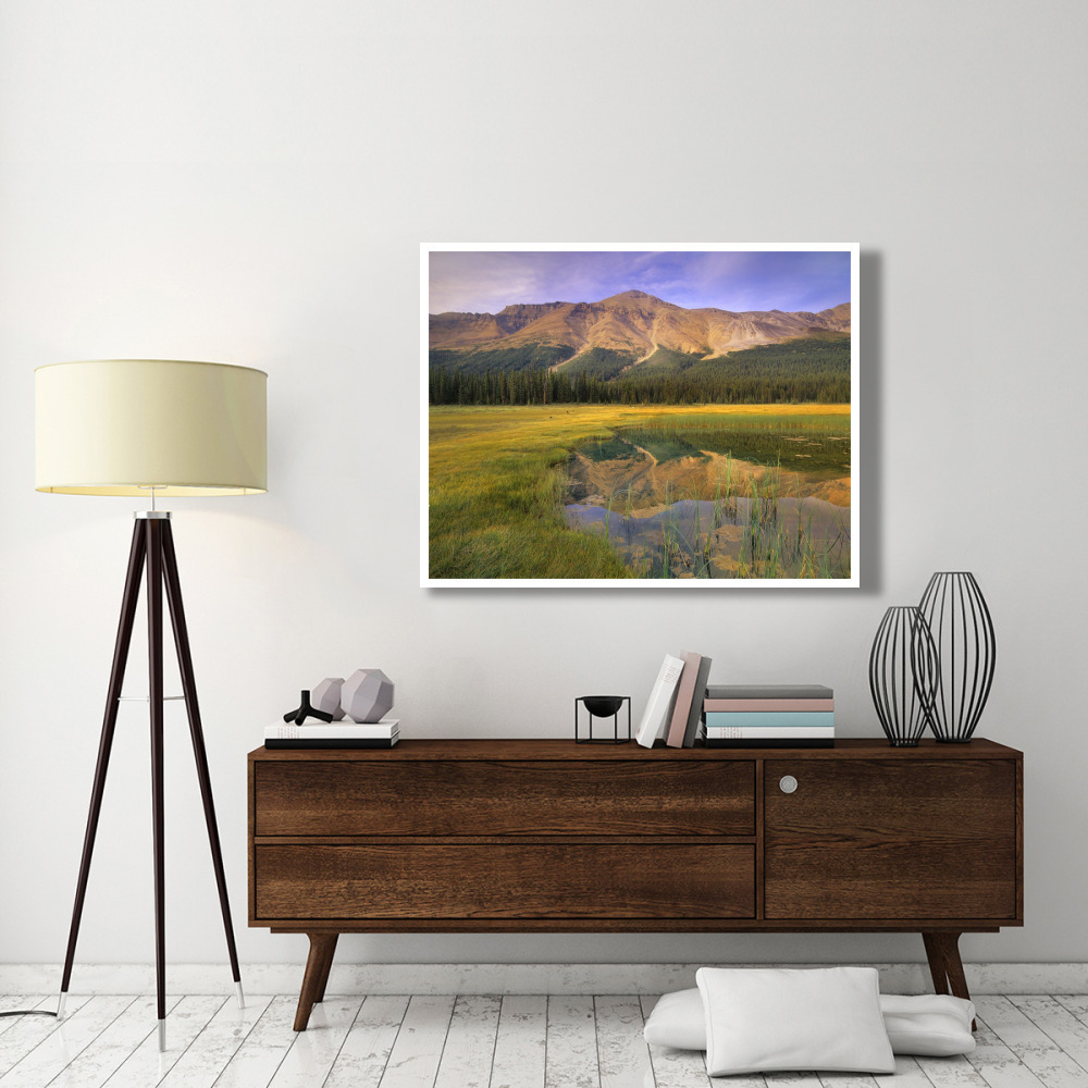 Observation Peak and coniferous forest reflected in pond, Banff National Park, Alberta-Paper Art-50&quotx38"