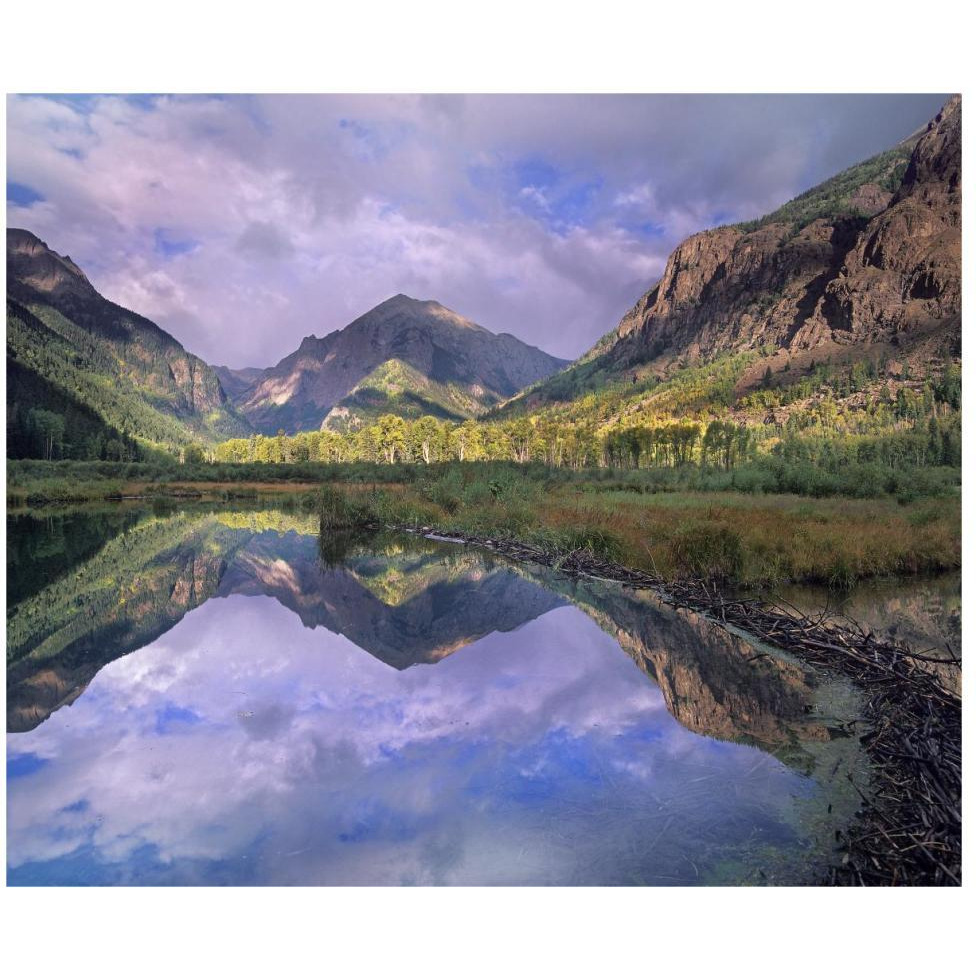 Handies Peak reflected in beaver pond, Maroon Bells-Snowmass Wilderness Area, Colorado-Paper Art-46&quotx38.52"