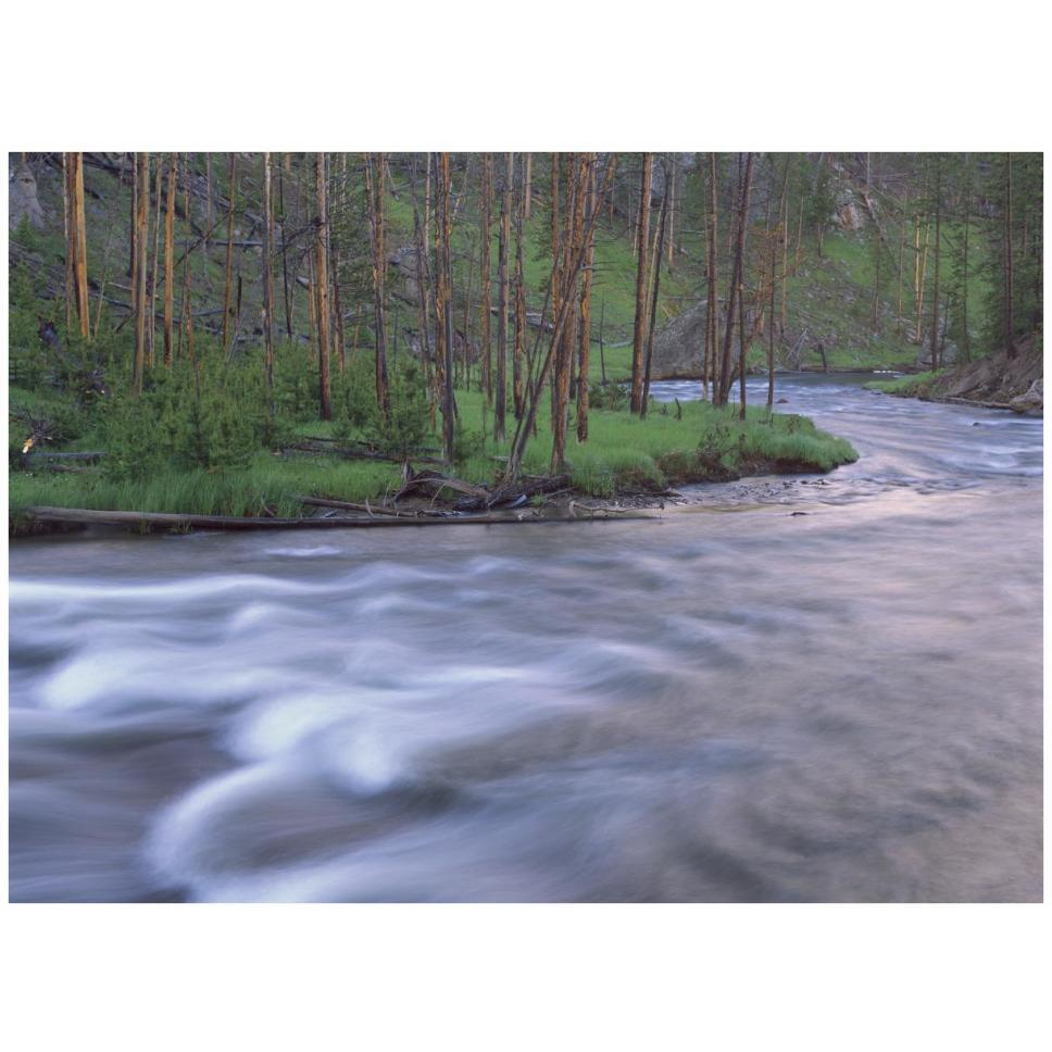Gibbon River rapids popular river for trout fishing, Yellowstone National Park, Wyoming-Paper Art-42&quotx32"