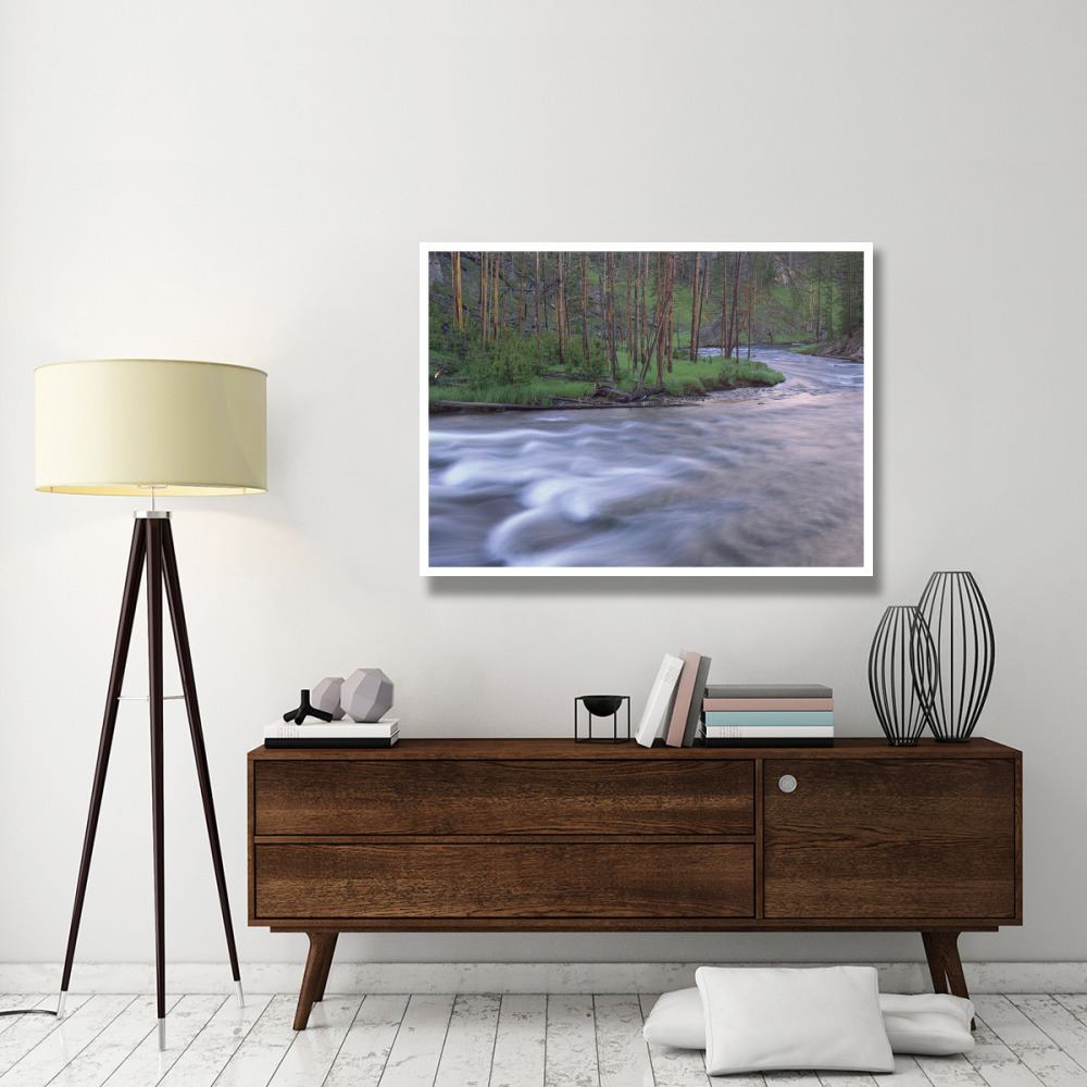 Gibbon River rapids popular river for trout fishing, Yellowstone National Park, Wyoming-Paper Art-50&quotx38"