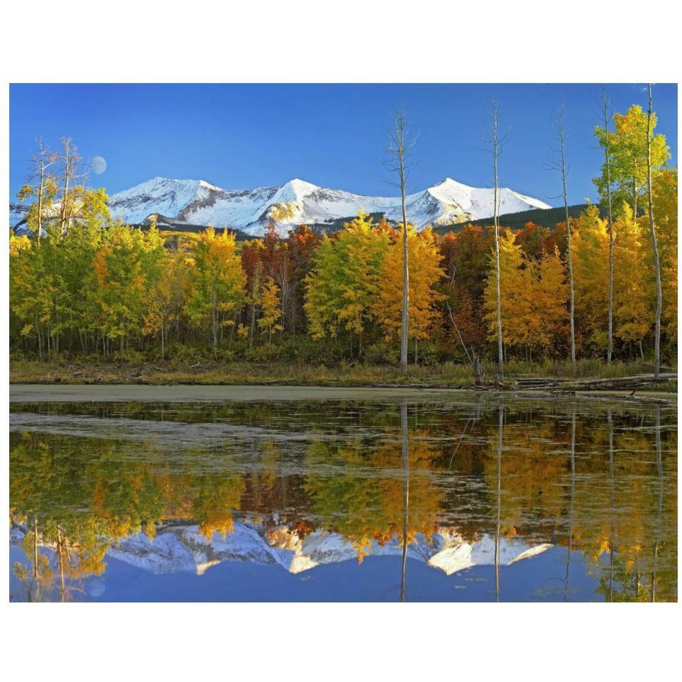 Full moon over East Beckwith Mountain rising above fall colored Aspen forests, Colorado-Paper Art-18&quotx14"