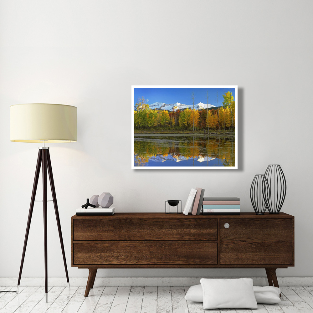 Full moon over East Beckwith Mountain rising above fall colored Aspen forests, Colorado-Paper Art-42&quotx32"