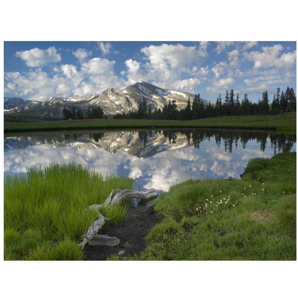 Mammoth Peak and scattered clouds reflected in lake, Yosemite National Park, California-Paper Art-18&quotx14"