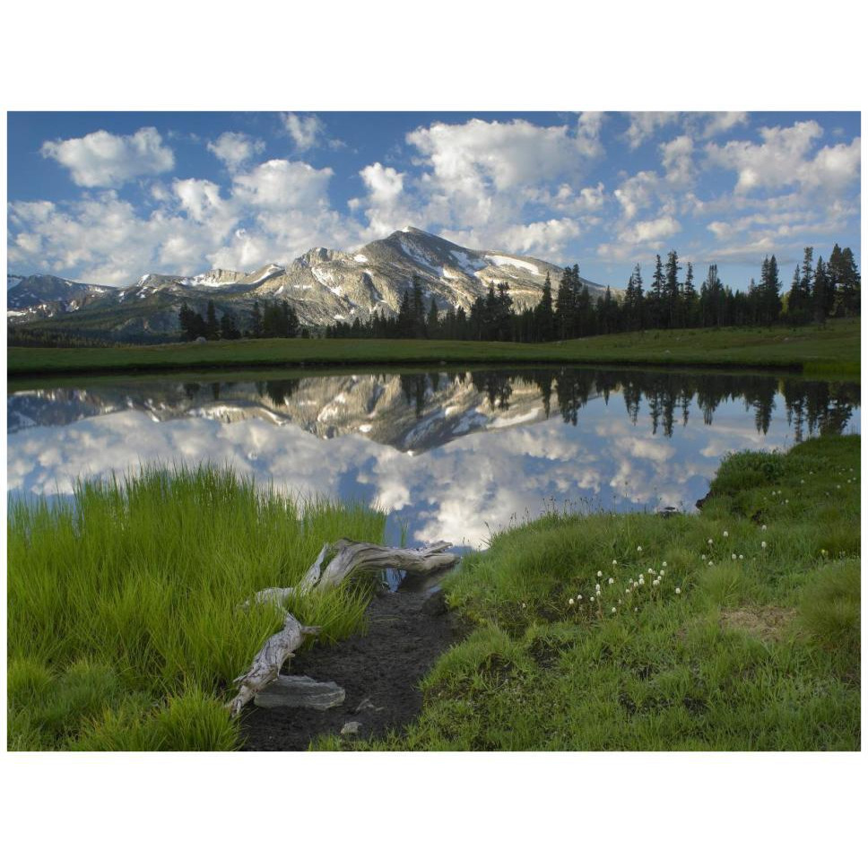 Mammoth Peak and scattered clouds reflected in lake, Yosemite National Park, California-Paper Art-42&quotx32"