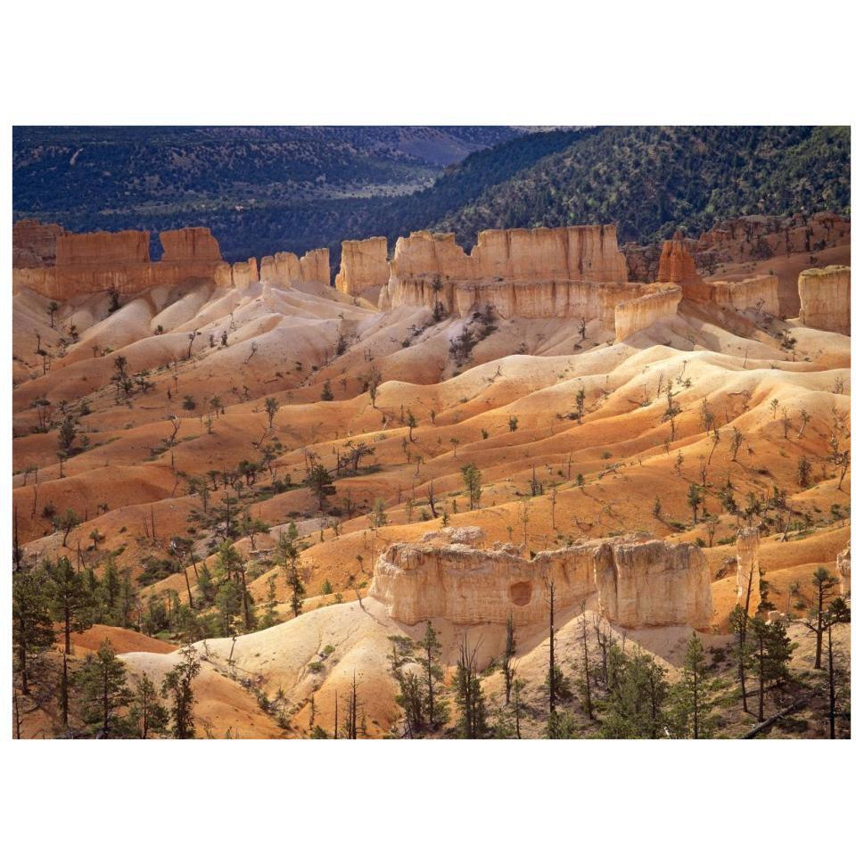 Landscape of eroded formations called hoodoos and fins, Bryce Canyon National Park, Utah-Paper Art-34&quotx26"