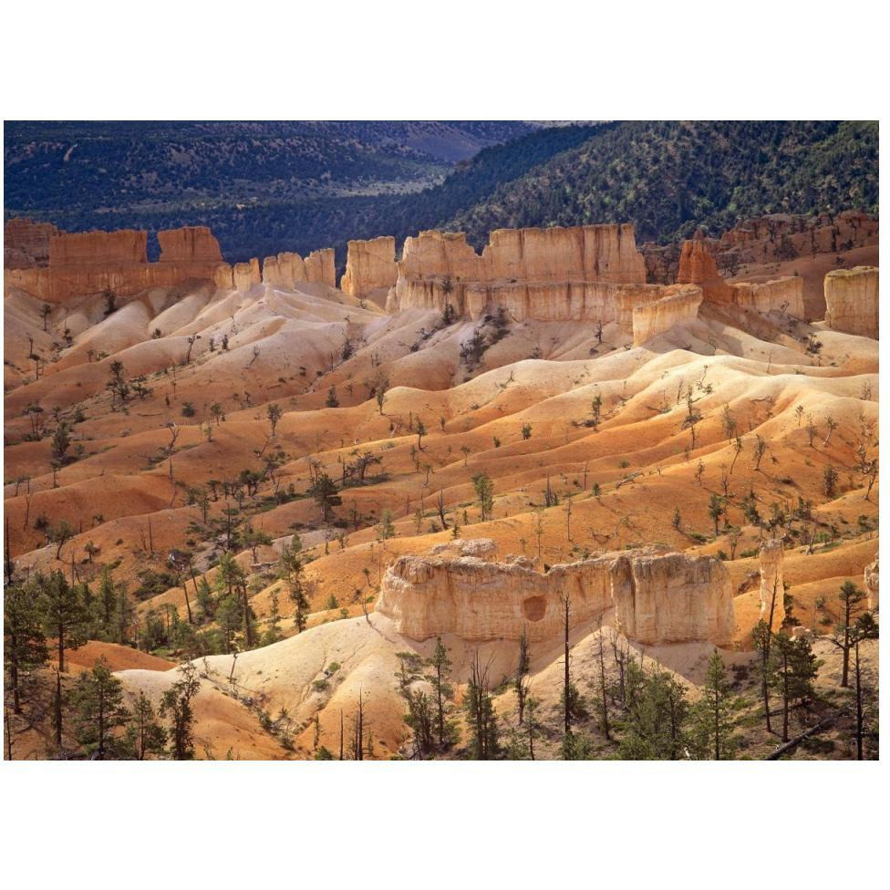 Landscape of eroded formations called hoodoos and fins, Bryce Canyon National Park, Utah-Paper Art-50&quotx38"