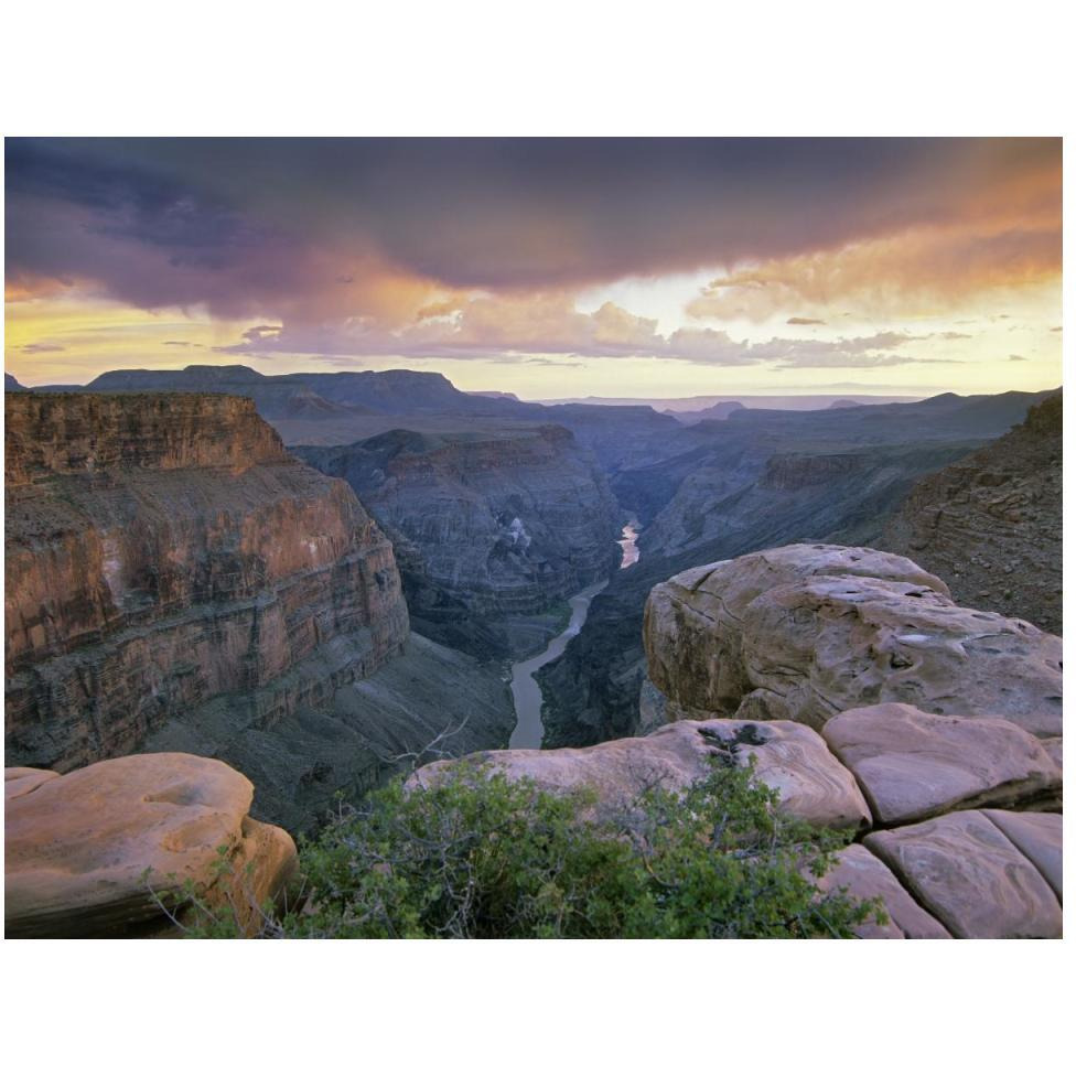 Toroweap Overlook with a view of the Colorado River, Grand Canyon National Park, Arizona-Paper Art-50&quotx38"