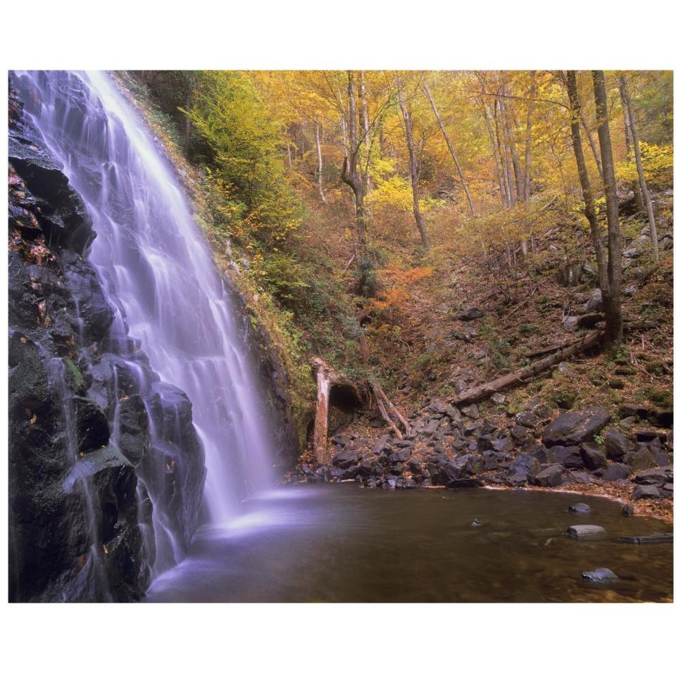 Crabtree Falls cascading into stream in autumn forest, Blue Ridge Parkway, North Carolina-Paper Art-37&quotx30"